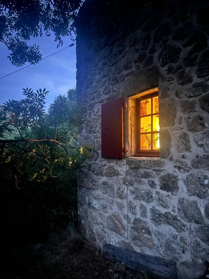 La façade arrière de la maison éclairée dans la nuit, entourée d'arbres