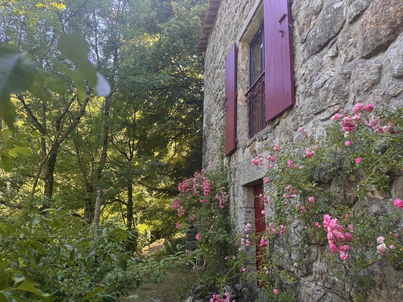 La façade en pierre de la maison, aux volets rouges et aux rosiers grimpants
