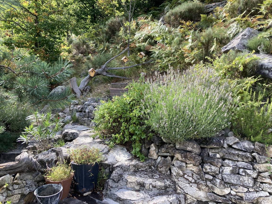 Des nichoirs en bois installés dans les arbres du jardin
