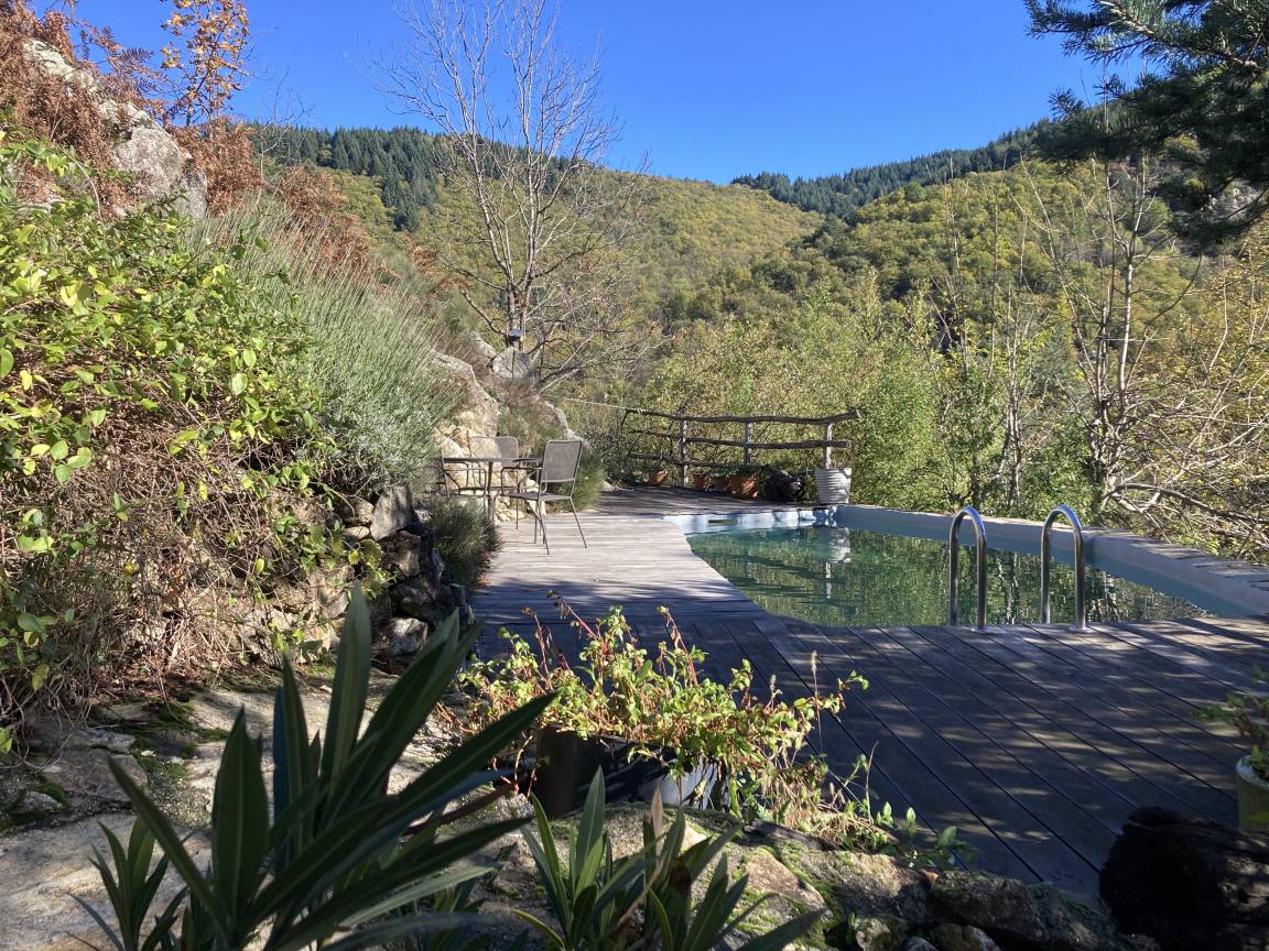 La piscine entourée d'arbres aux couleurs d'automne