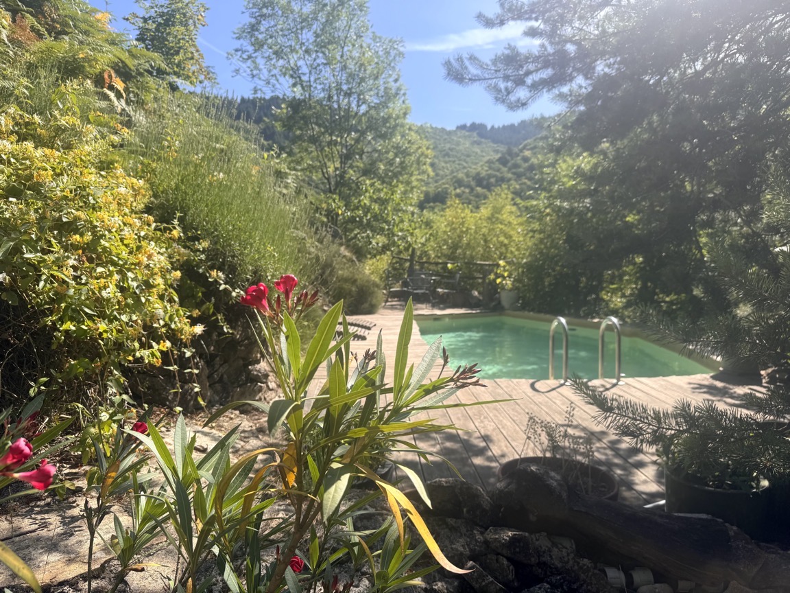 La terrasse en bois et la piscine turquoise, entourée d'oléandres et de pins