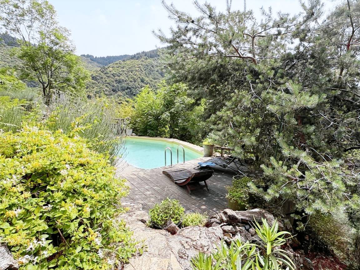 La piscine entourée par la végétation, avec des transats en bois