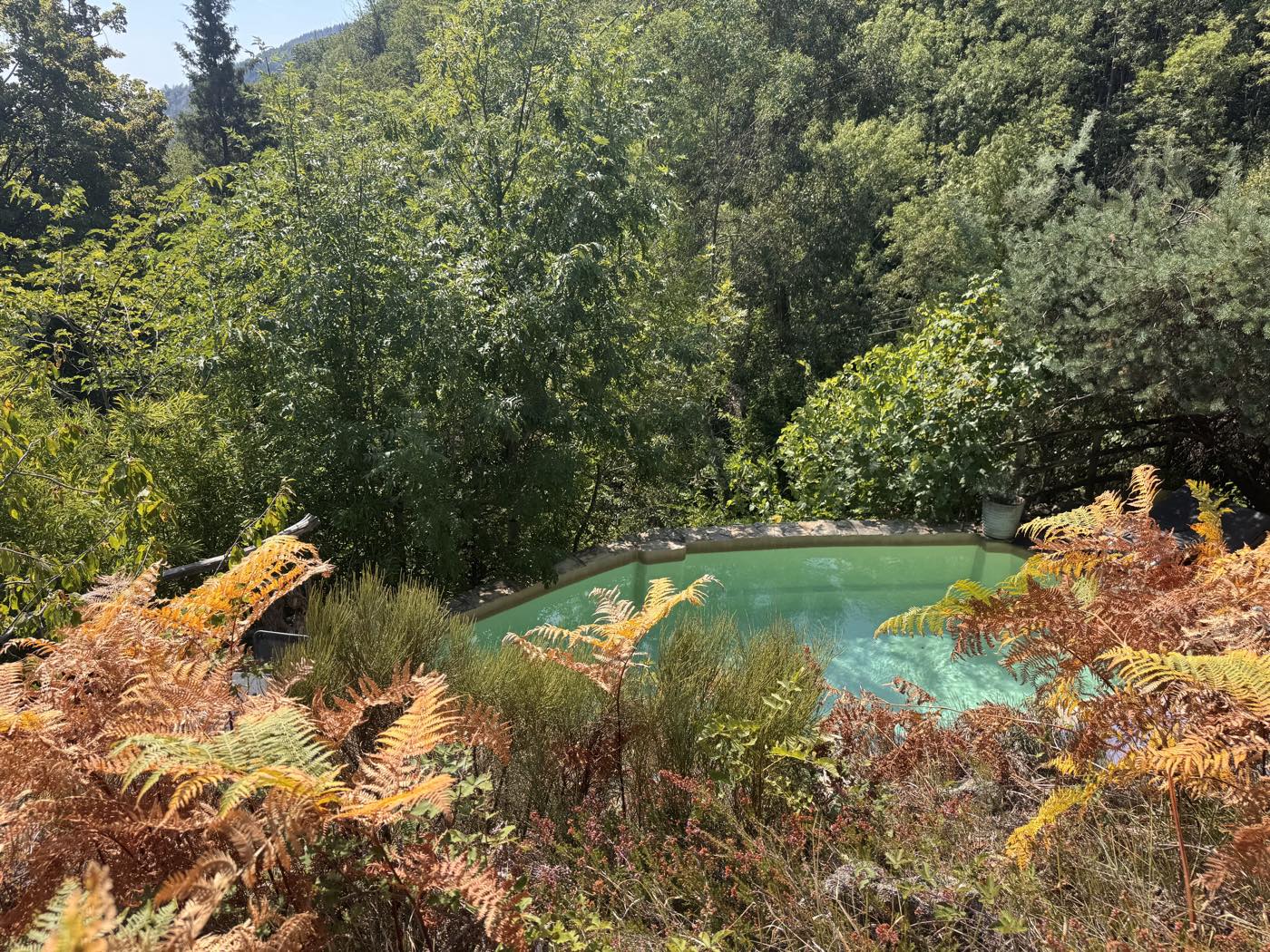 Vue plongeante sur la piscine nichée dans la végétation, la forêt de la vallée de la Bésorgues en arrière-plan