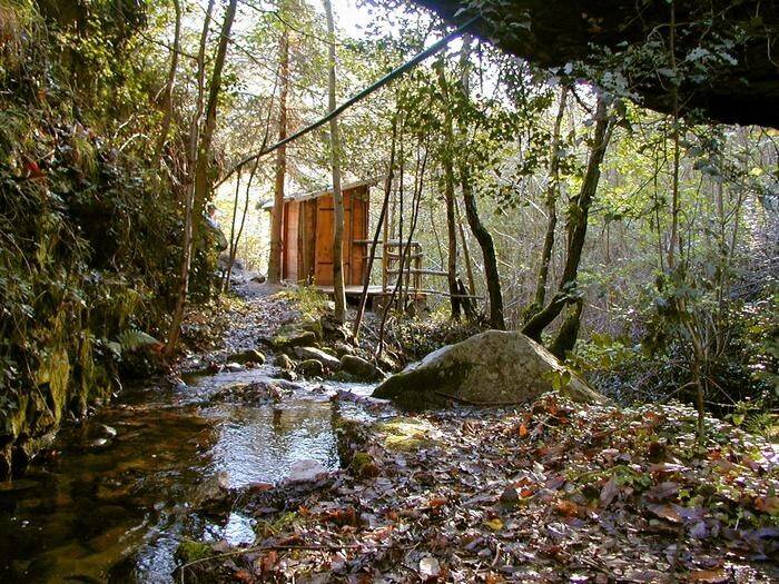 Une petite cabane en bois au bord du ruisseau, sous les arbres