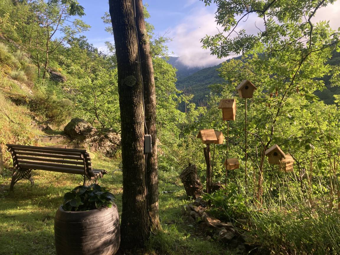 Un banc de jardin face à la vallée boisée, dans la brume du matin