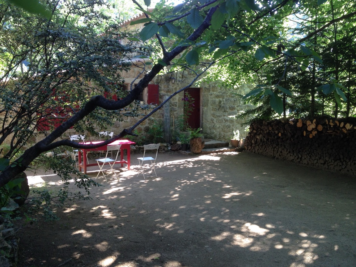 Une branche noueuse du tilleul, au-dessus de la table et des chaises de la cour